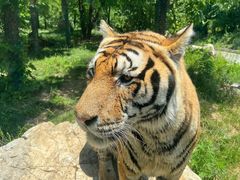 -栾川竹海野生动物园