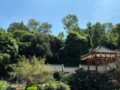 -清湖文化公园