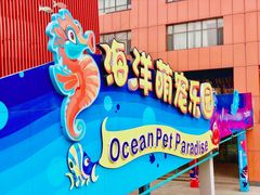 -海合安武汉极地海洋公园