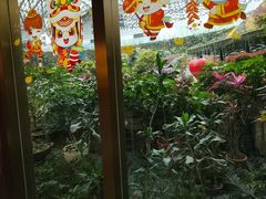 -花之城