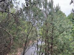 -云南野生动物园