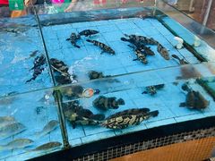 -虎门不夜天海鲜市场