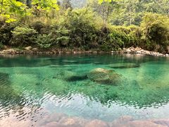 -石台牯牛降景区