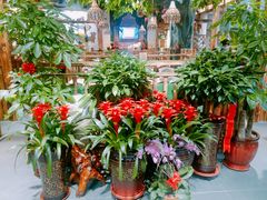 -草原塞蛮羊火锅城(港湾店)