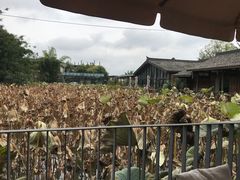 -莫催咖啡