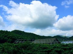 iphone_upload_pic-宁波浙东大竹海景区