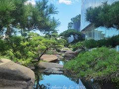 -罗红摄影艺术馆