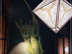 -云海肴·汽锅鸡·云南菜(天山百盛优客店)