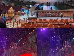 -广州长隆国际大马戏