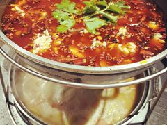 -重庆乌鱼庄·龙滋鲜(青羊大道店)