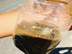 -青岛沙子口国家中心渔港