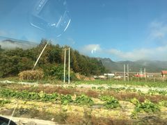 -五女山景区
