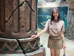 -哈尔滨波塞冬海底世界