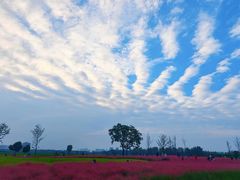 -汉长安城未央宫国家考古遗址公园