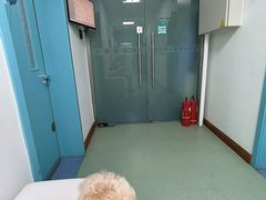 -北京观赏动物医院·24小时大型综合·猫专科·异宠专科