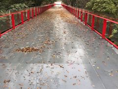 -青枫公园