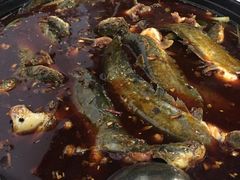 -金海椒罐罐鲢鱼(东方桂苑店)