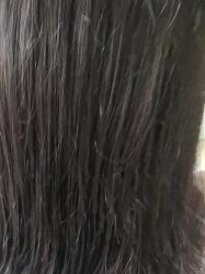 -波斯坦植物养发馆