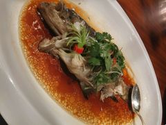 android_upload_pic-君悦酒店·乐厨·高空自助餐(青年大街店)