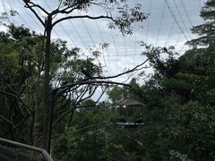 -新加坡飞禽公园