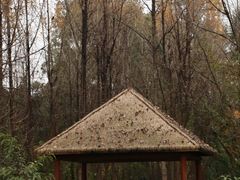 -白鹭湾湿地公园