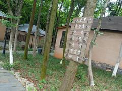 -象山森林公园
