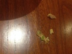 iphone_upload_pic-院落创意菜