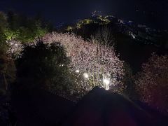 -三峡梯城