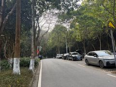 -火炉山森林公园
