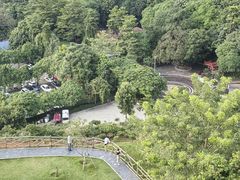 -清溪大王山森林公园