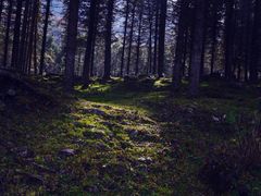 -硗碛藏寨·神木垒景区