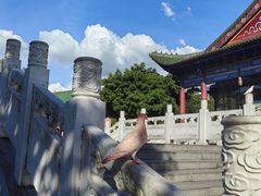 -六祖寺