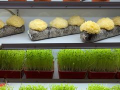 -番食园鲜食火锅(高新店)