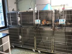 -成都民大动物医院