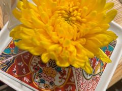 -石鼎香·非遗淮扬火锅(江都龙川桥店)