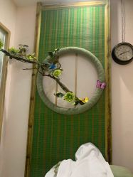 -芳朵美容养生SPA