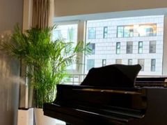 -Melody Mentor音乐私教馆(朝外·悠唐店)