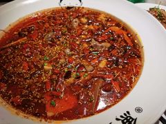鸡杂毛血旺-江渔儿酸菜鱼(港湾1号店)