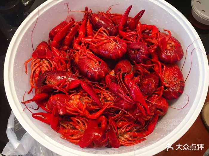 倪氏龙虾(莱阳路店)清蒸中虾图片 - 第12张