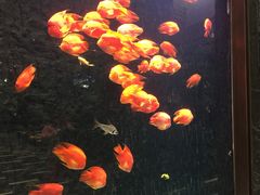 -弘安丽水温泉酒店