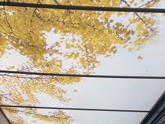 -京味斋·烤鸭·北京菜(安贞店)