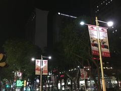 -新加坡乌节希尔顿酒店 (SG Clean)
