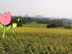 -光明农场大观园