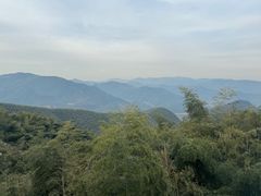 -莫干山风景区