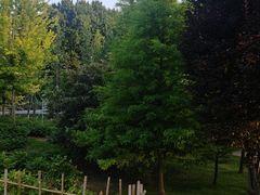 -郑州植物园