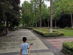 -苏州河梦清园环保主题公园