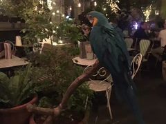 -The Grounds of Alexandria