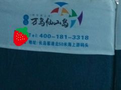 -长岛万鸟岛