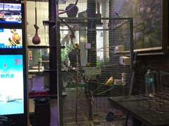 -向阳庄烧烤店(望京西园店)