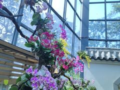 -东莞植物园